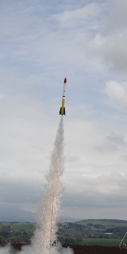 2013 Svojek Mirek Topinka